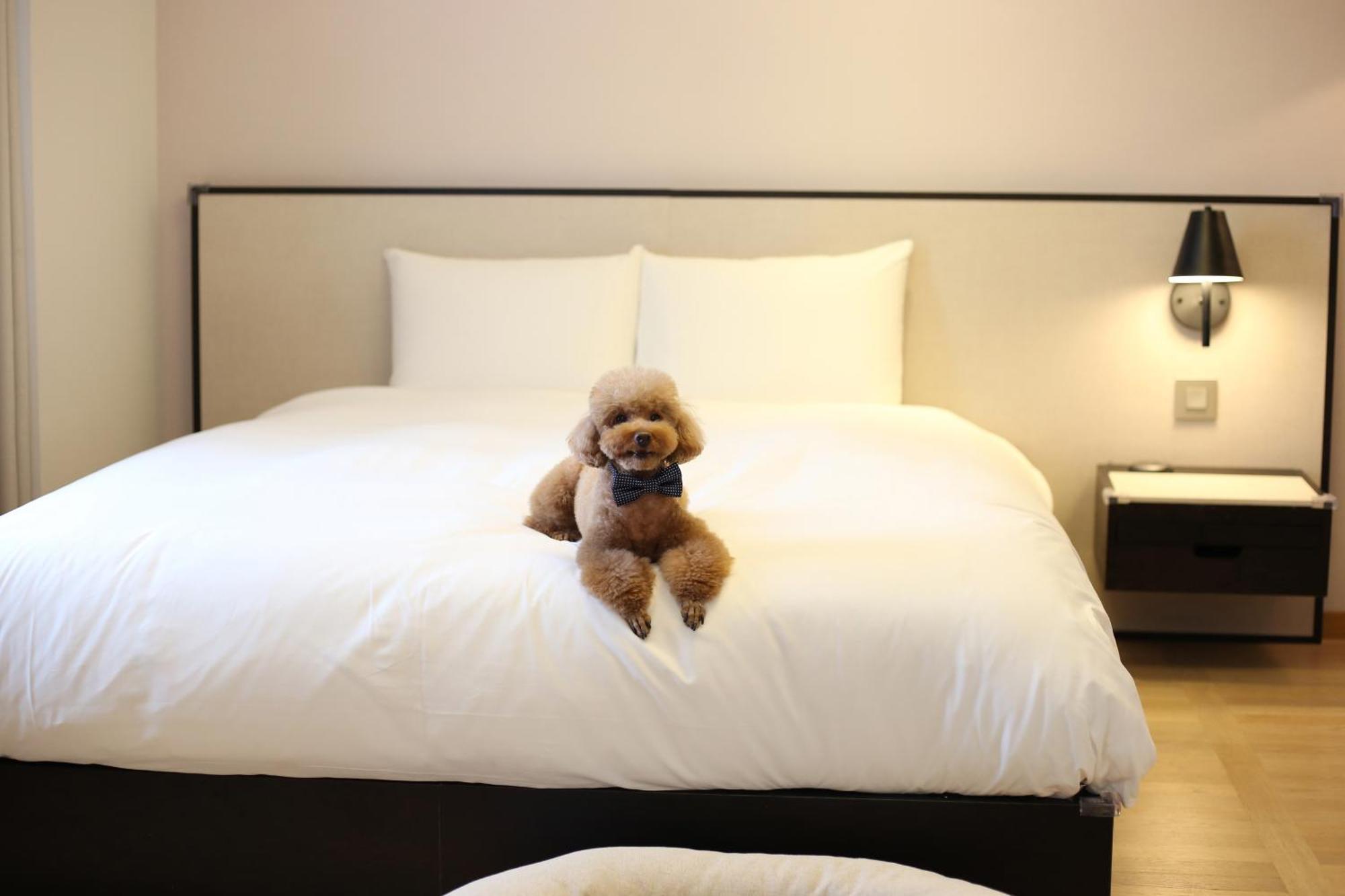 Hotel Maison Glad