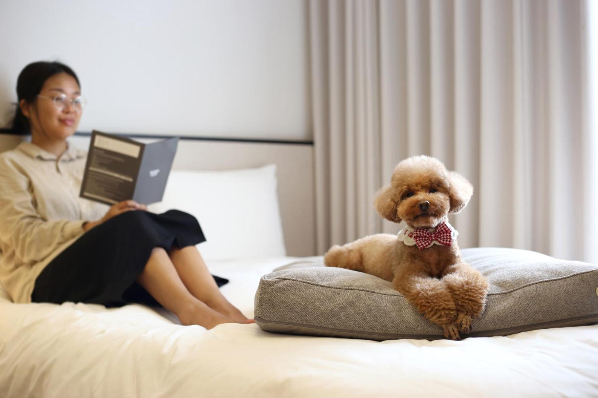 Maison Glad 5* Jeju